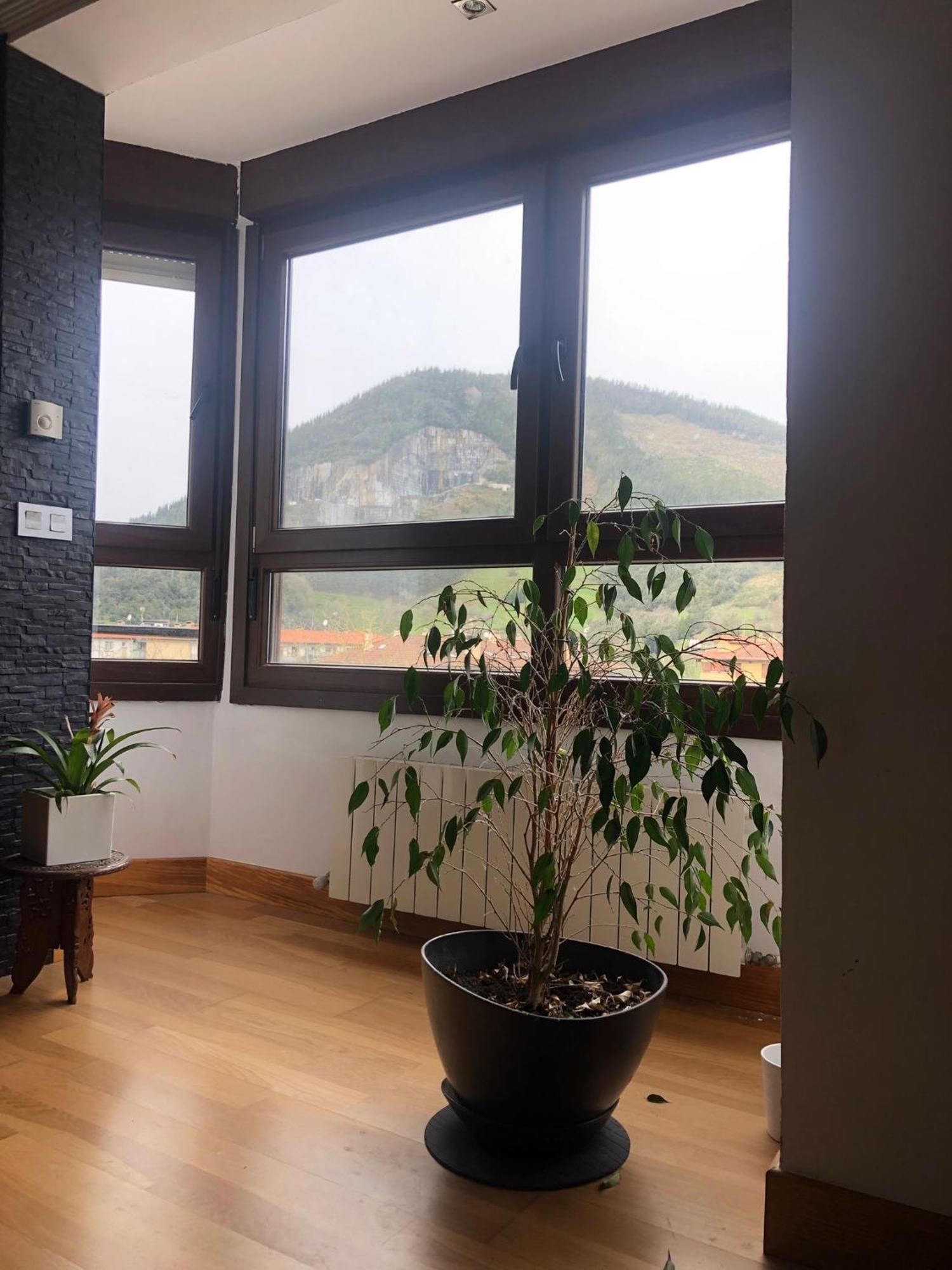 Duplex Markina Xemein Marquina-Jemein Bagian luar foto